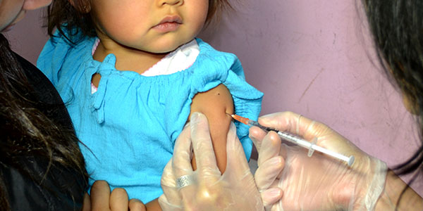 Se recomienda llevar el registro de vacunas de los niños.