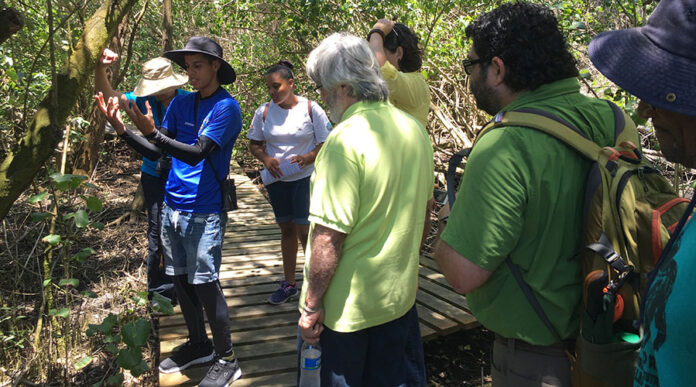 Los recorridos guiados están a cargo de jóvenes pertenecientes a la Iniciativa de Ecodesarrollo de Bahía de Jobos (IDEBAJO). (Voces del Sur)