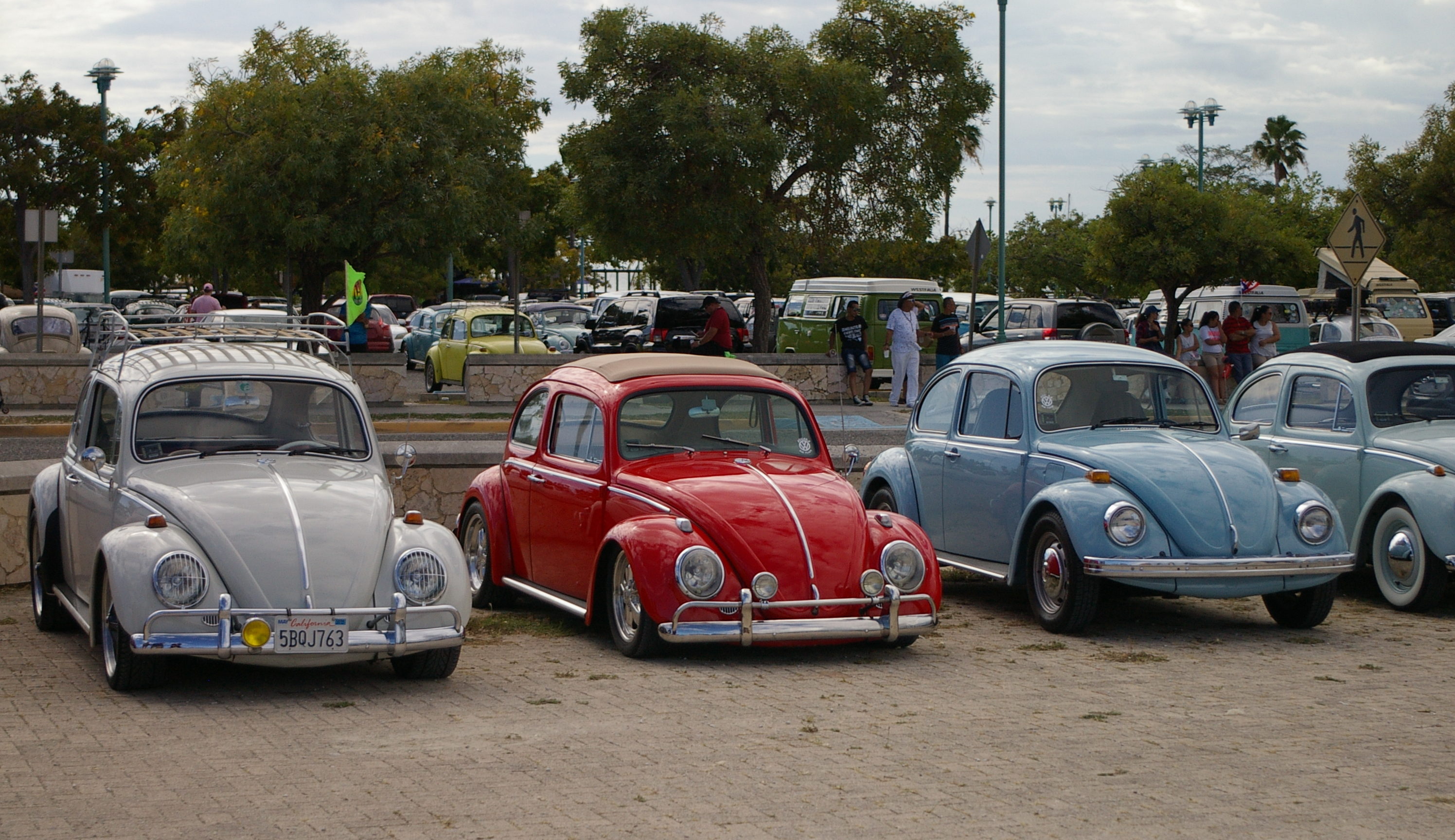 Sobre 60 vehículos de la marca Volkswagen formarán parte de la exhibición