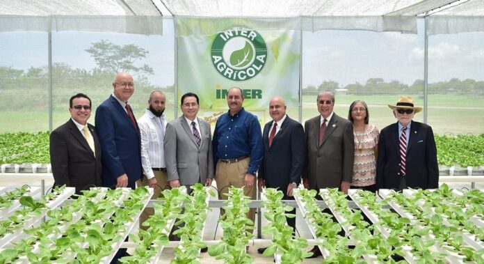 A través de la iniciativa Inter Agrícola en Guayama, la Universidad Interamericana de Puerto Rico promoverá la producción y venta de hortalizas y frutos menores.