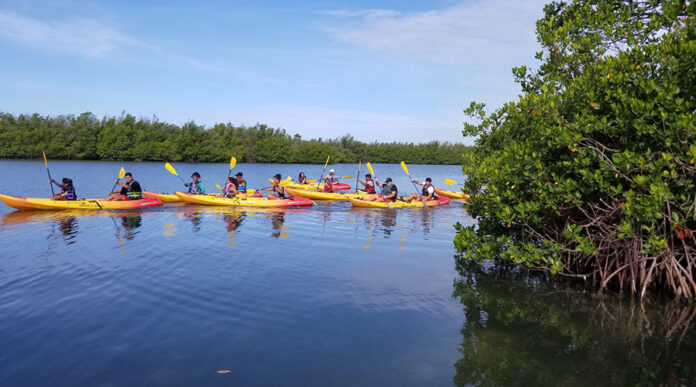 Los jóvenes pasearon en kayak por la costa salinense durante la Convivencia Ambiental 2018. (Suministrada)