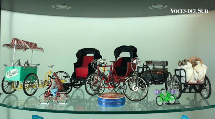 complejidad seguro Delegación Coleccionista de Villalba posee impresionante colección de bicicletas en  miniatura - Voces del Sur