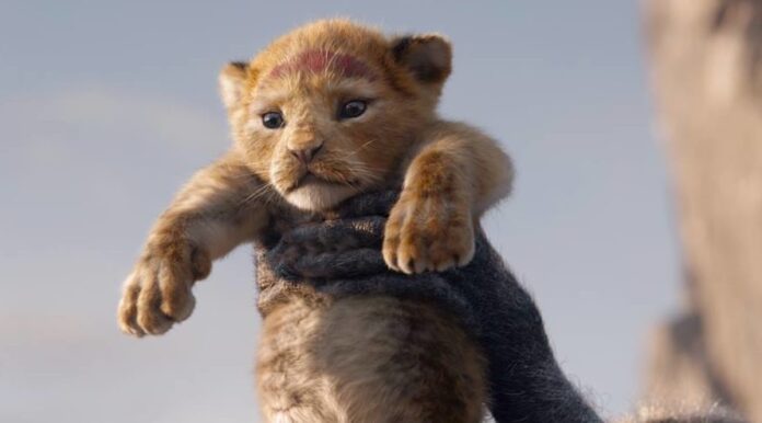 El león Simba es el personaje principal del filme The Lion King.