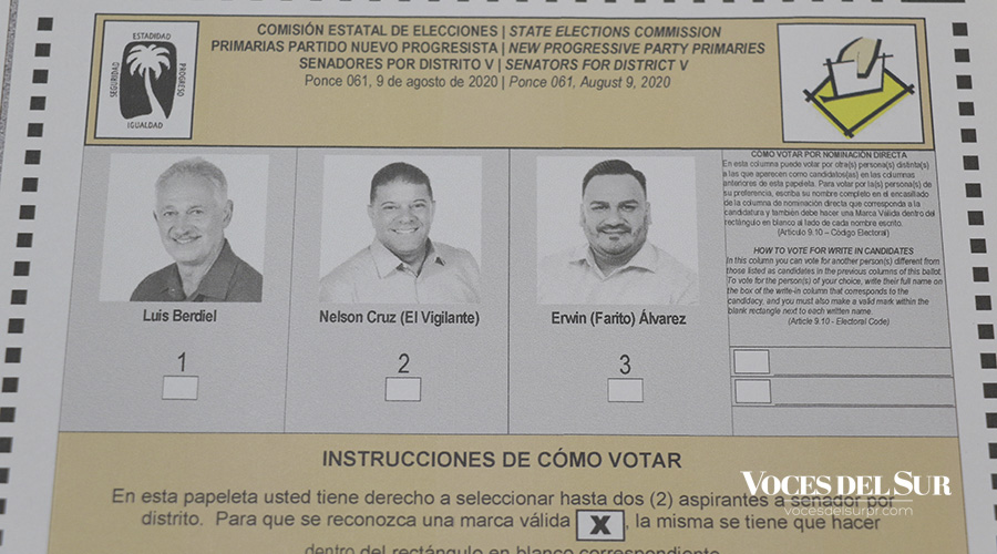 Papeleta para el distrito senatorial de Ponce por el PNP en las primarias 2020. (Voces del Sur / Michelle Estrada Torres)