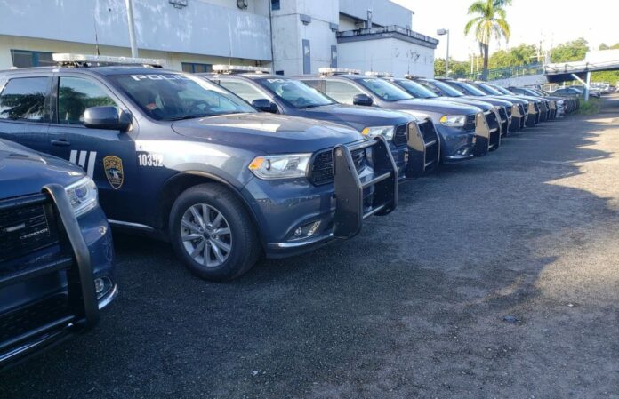 Vehículos de la Policía de Puerto Rico. (Suministrada)