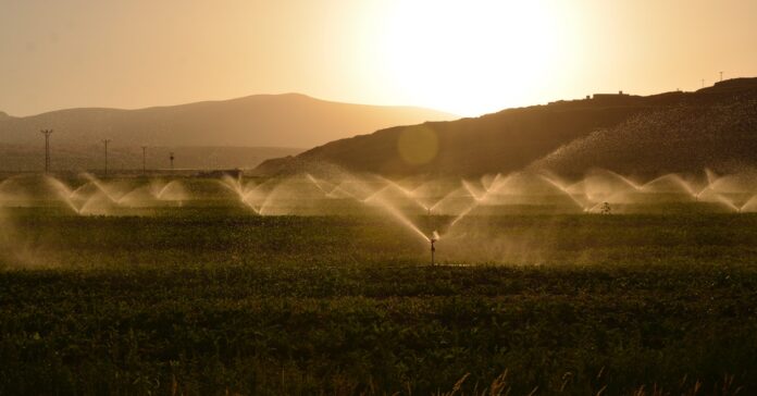 Sistema de irrigación.